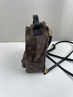 Mini sac à dos Louis Vuitton Palm Springs en toile Monogram - Photo 9