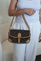 Louis Vuitton Diane Monogram - Photo 2