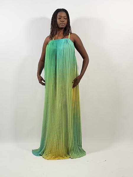Long dress