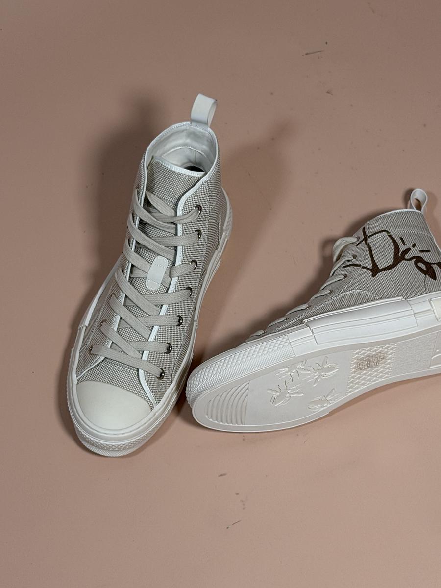 Dior B23 cactus jack