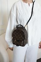 Mini sac à dos Louis Vuitton Palm Springs en toile Monogram - Photo 2